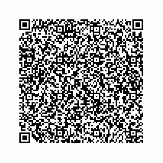 vCard 79519613341