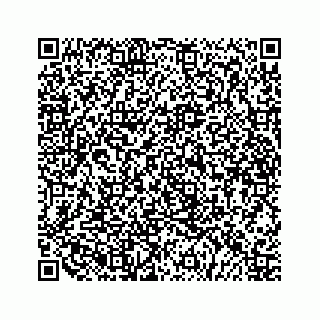 vCard 79519613343