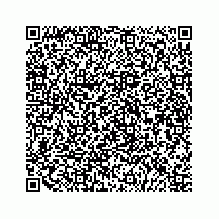 vCard 79519613378