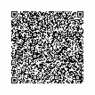vCard 79519613379