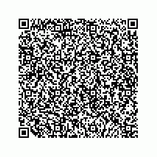 vCard 79519613380