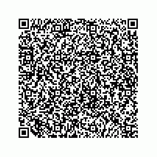 vCard 79519613381