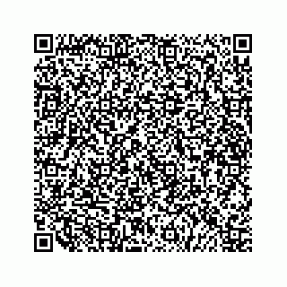 vCard 79519613382