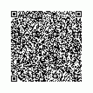 vCard 79519613385