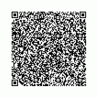 vCard 79519613397