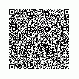 vCard 79519613400
