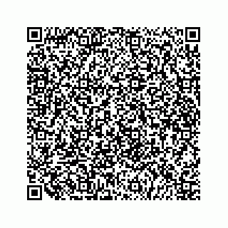 vCard 79519613403