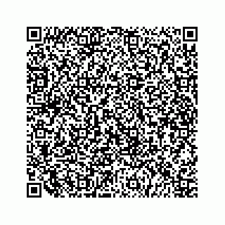 vCard 79519613431