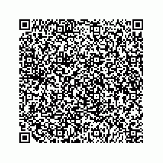vCard 79519613485