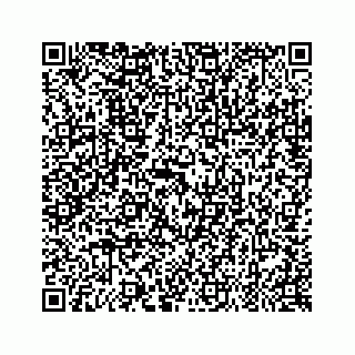 vCard 79519613502