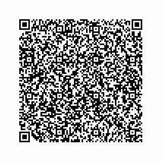 vCard 79519613519