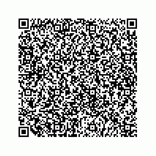 vCard 79519613533