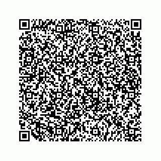 vCard 79519613537