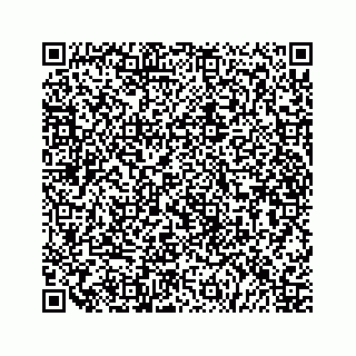 vCard 79519613539