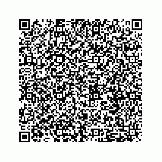 vCard 79519613837