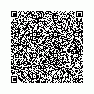 vCard 79519613840