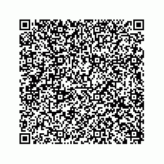 vCard 79519613852