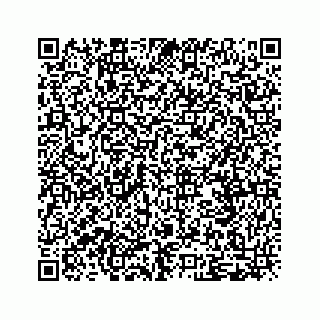 vCard 79519613863