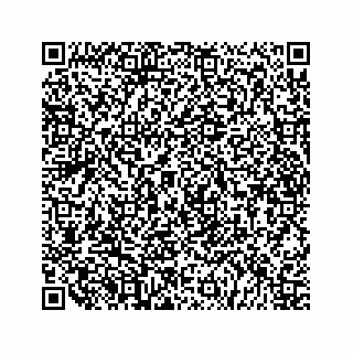 vCard 79519613871