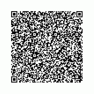 vCard 79519613872