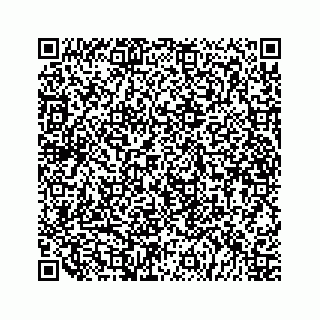vCard 79519613873