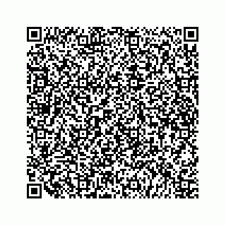 vCard 79519613877