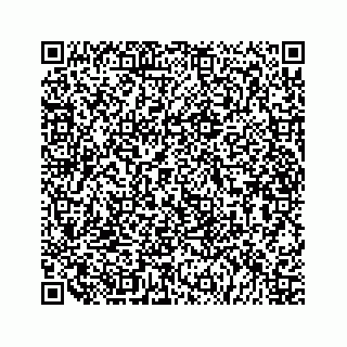 vCard 79519613879