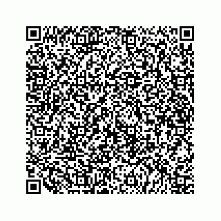 vCard 79519613883