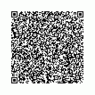 vCard 79519613885