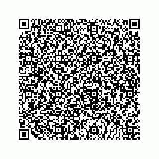 vCard 79519613887