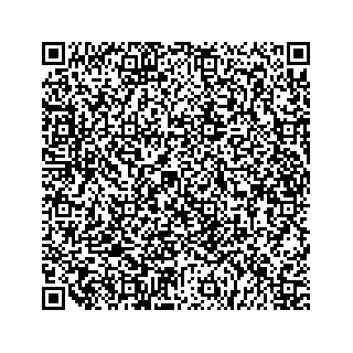 vCard 79519613904