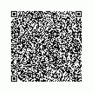 vCard 79519613905