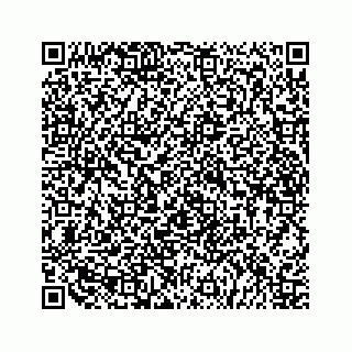 vCard 79519613937