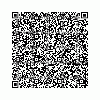 vCard 79519613941