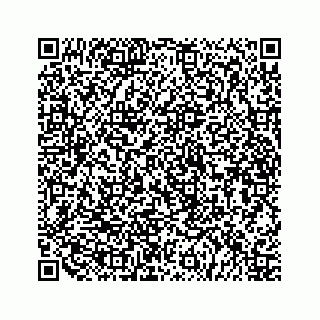 vCard 79519613949