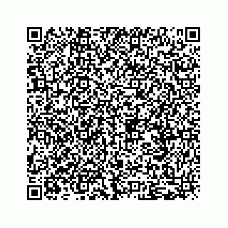 vCard 79519613952