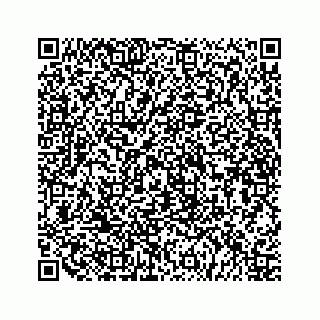 vCard 79519613969
