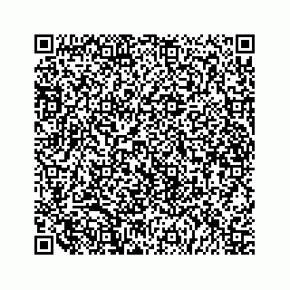vCard 79519613976