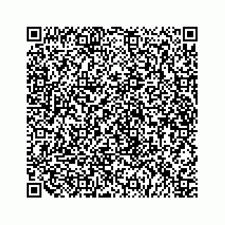 vCard 79519613981