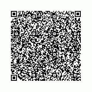 vCard 79519614003