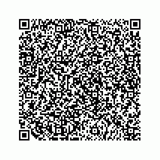 vCard 79519614035