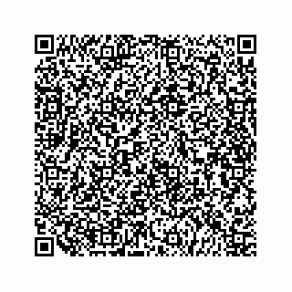 vCard 79519614038