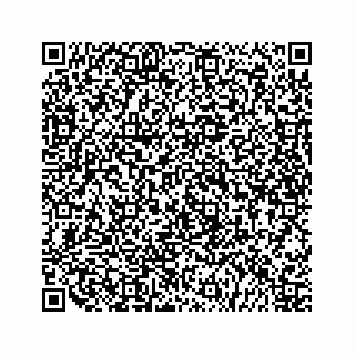 vCard 79519614137
