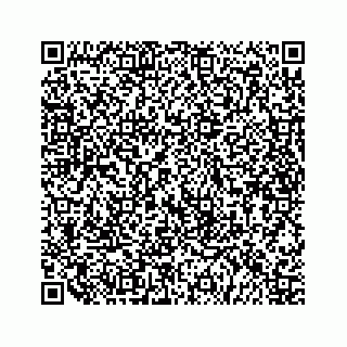 vCard 79519614171