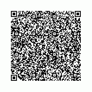vCard 79519614175