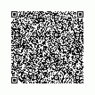 vCard 79519614176