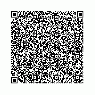 vCard 79519614331