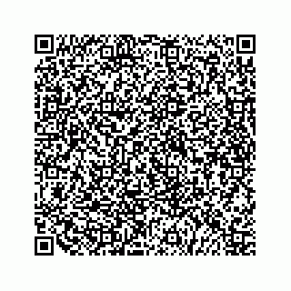 vCard 79519614371