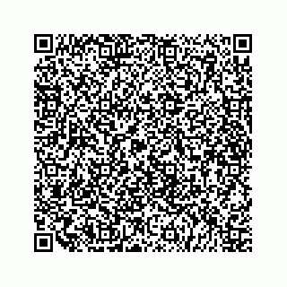 vCard 79519615872
