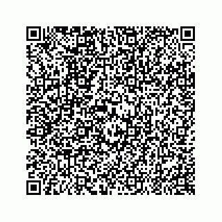 vCard 79519615882